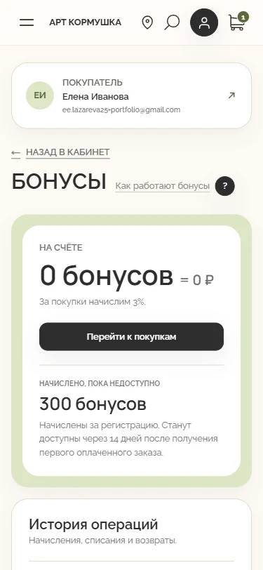 Balance and transaction history — Mobile